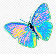 Decohogar.top have about 100 image for your iphone, android or tumblr aesthetic space wallpapers. Download Trippy Butterflies Tumblr Png Trippy Butterfly Png Free Transparent Png Images Pngaaa Com