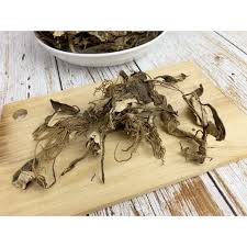 Image result for Gerbera piloselloides