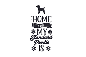 Download Home Is Where My Standard Poodle Is Svg Cut File By Creative Fabrica Crafts Creative Fabrica SVG Cut Files