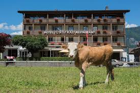 With options to book now and pay when you stay, you have peace of mind. Jungfrau Hotel Wilderswil Aktualisierte Preise Fur 2021