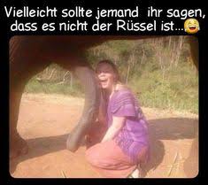 14 süße hunde erleben witzige sachen. 130 Freche Bilder Ideen Lustige Bilder Freche Bilder Witzig