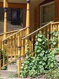 We did not find results for: Balcony Railing Support For Plants Can You Grow Vines On A Handrail