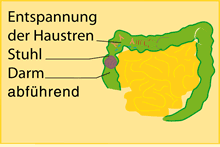 Ursachen Fur Blahungen Und Abhilfe