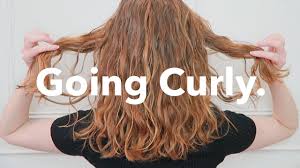 #hair | 66.1b people have watched this. Isabella Demarko The Curly Hair Mystery Guru Gossip