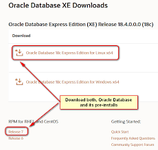 Oracle is now offering a free release called oracle database 11g express edition (xe), which is a great starter database for any java jdbc developers who wants to try it on 2. Suse 10 Running Oracle 11g Migration Project