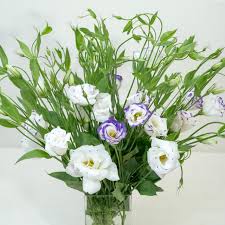 Image result for eustoma lisianthus in vase
