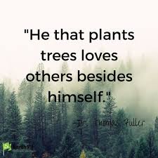Great tree plantation slogan ideas inc list of the top sayings, phrases, taglines & names with picture examples. Earth Day 23 Of The Greatest Environmental Quotes Earth 911 Environmental Quotes Nature Quotes Nature Quotes Trees