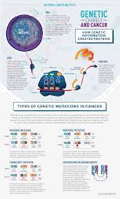 * more research is needed to confirm a link between this cancer type and an inherited mutation in this gene. The Genetics Of Cancer National Cancer Institute