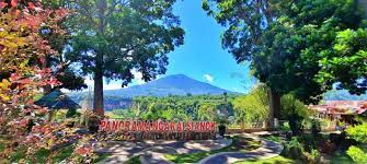Taman Panorama Kota Bukittinggi Fahira Hotel Bukittinggi