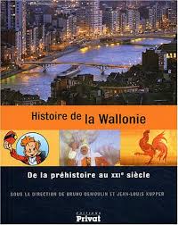 Wallonie belgique tourisme vous offre un incitant financier. Histoire De La Wallonie De La Prehistoire Au Xxie Siecle Hist Des Region Demoulin Kupp Demoulin Bruno Kupper Jean Louis 9782708947795 Amazon Com Books