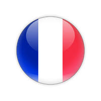Download France Flag Png Picture Hq Png Image Freepngimg