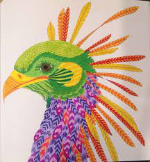 Secretary Bird Ws Bb Wild Savannah Artist Books Drawings