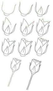 Pin By Iwo Na On Nauka Rysowania Roses Drawing Drawings Rose Drawing Simple