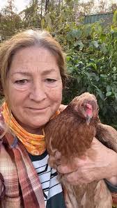 If I have a chicken that is treated like a pet I might as well enjoy it  Right?, I took Rosie to the large gardens to gather flowers. She was not  enthusiastic and saw freedom at every turn. , Rosie can ...