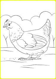 Berbagai macan gambar mewarnai atau gambar hitam putih seperti. Gambar Mewarnai Ayam Menetas Gambar Kartun Ayam Dan Anak Ayam Bestkartun Mewarnai Gambar Ayam Mewarnai Gambar Sal Kaa