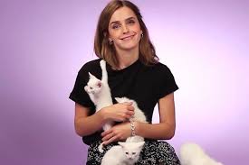 Dueños felices han compartido fotografías de sus mascotas felinas con la comunidad cibernética por la celebración del día internacional del gato que esta gata era de un amigo que pidió a mi sirvienta si podía ocuparse de ella durante dos semanas en que se iba de viaje. Las Mejores Fotos Y Memes Del Dia Internacional Del Gato