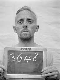 Arthur Percy Plowman