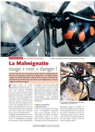 Elle s'inscrit dans une agence matrimoniale et rencontre des hommes, plus. La Malmignatte Insectes N 140