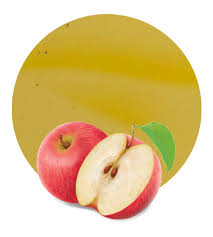 apple syrup manufacturer and supplier lemonconcentrate