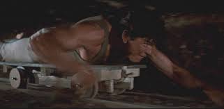 He starred in films such as once upon a time in the west , the magnificent seven , the dirty dozen , the great escape , rider on the rain , the mechanic. Ensalada De Lengua De Pajaritos