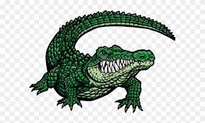 Connect it to the top of the head and the tip of the jaw! Cartoon Alligator Head Free Transparent Png Clipart Images Download
