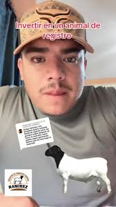 Criadero El Destrozo