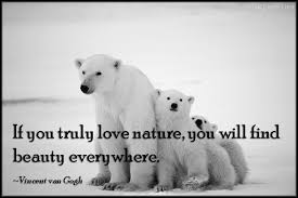 Inspirational Quotes Nature Beauty Master Trick