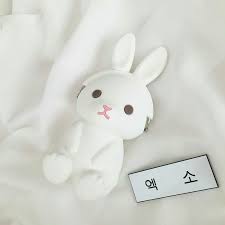 Ascii characters only (characters found on a standard us keyboard); ËË‹ Pin Honeeyjin ËŽËŠ White Aesthetics Aesthetics White Themes Aesthetic