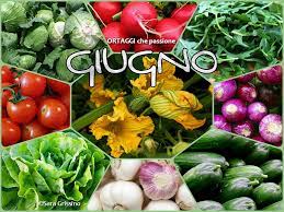 Последние твиты от verdure di stagione (@verdurestagione). Giugno Verdura Stagione Elenco Completo Ortaggi Che Passione