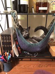 I Crocheted A Cat Hammock Crafts Care For Pets Cat Lounge Knit Or Crocheted 2020 Hayvanlar Hayvan Odasi Kediler Ve Yavrulari