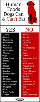 Dog Food Save Your Dog S Diet With This Chart And Get Him Out For Some Exercise Consider Using Cibo Per Cani Animali Domestici Linguaggio Corporale Del Cane