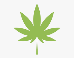 Transparent Marijuana Clipart Marijuana Plants Leaf Png Png Download Transparent Png Image Pngitem Polish your personal project or design with these cannabis transparent png images. marijuana plants leaf png png download