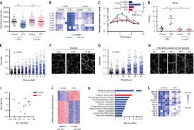 「videos/load/recent ~gastrointestinal」的圖片搜尋結果