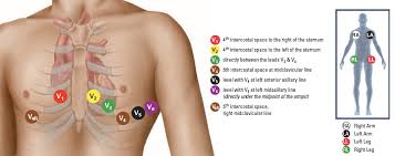 4 Bioscan