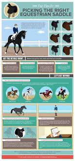 The Basics Of Proper Horse Care Horse Care Horse Facts Horse Riding Tips