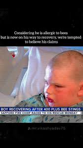 A boy who was stung more than 400 times by bees in Safford, Arizona had to  channel Full Force Power to survive the harrowing attack., #dbz #anime