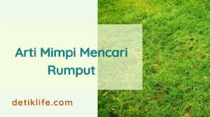 Namun, apakah tafsirnya merupakan pertanda buruk? Arti Mimpi Mencari Rumput Beserta Pertanda Baik Dan Buruk Detiklife