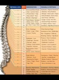 Pin By Dubravka Safner On Svastara Referred Pain Body