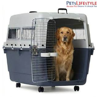 Canine Desk Flight Carrier (35.12 × 23.82 × | Pet Carrier India