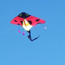 The force of lift in kite flying How To Fly A Kite Having Fun With 1 String Or 2