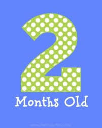 Printable Monthly Signs For Baby Pictures The Frugal Fairy Baby Signs Baby Month Stickers Baby Pictures