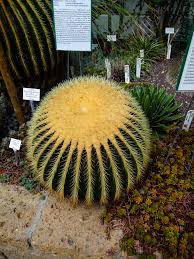 Der botanische garten in leipzig bietet eine schöne vielfalt an pflanzen und lädt zum spazieren bei schönem wetter ein. Botanischer Garten Leipzig Vier Mal Natur Pur Sachsen Erkunden