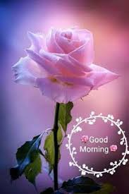 Pin On Goedemorgen