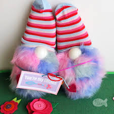Sisters, moms, best friends and girlfriends too, they all like having something given from the heart. Cute Gnome Valentine S Day Gift Idea Best Friend Gift