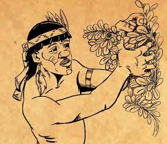 We did not find results for: Como Elaboraban Y Producian La Yerba Mate Los Guaranies Primera Parte