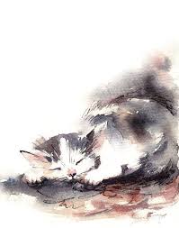 Kunst Druck Von Schlafen Katzchen Aquarell Katze Katze Watercolor Cat Cat Painting Cat Wall Art