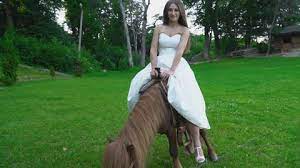Explore and watch the best 59+ human pony shoulder ride videos. The Girl Is Riding A Stock Footage Video 100 Royalty Free 33634390 Shutterstock