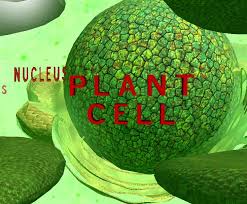 Check spelling or type a new query. Plant Cell 3d For Android Apk Download