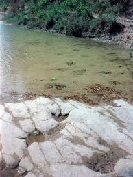Maybe you would like to learn more about one of these? Dinosaur Valley State Park Near Granbury And Stephenville Texas
