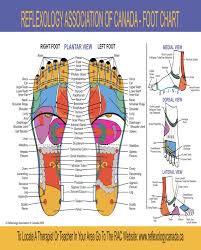 Reflexology Charts Jasonkellyphoto Co